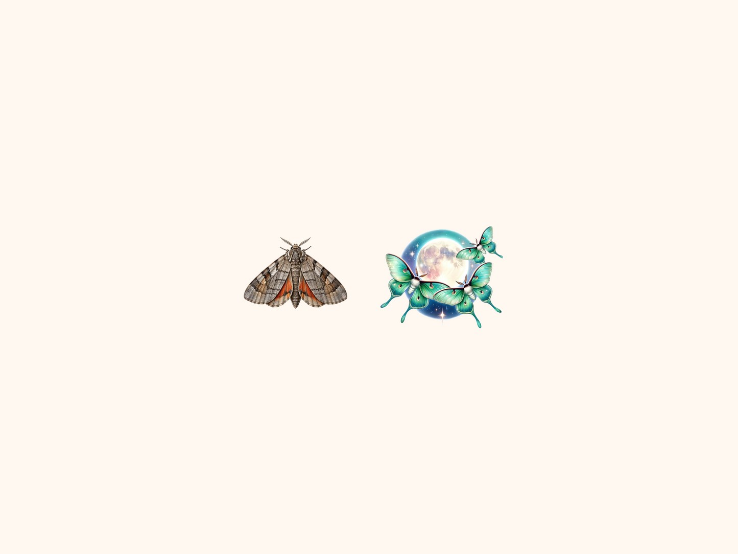 Moths Clipart