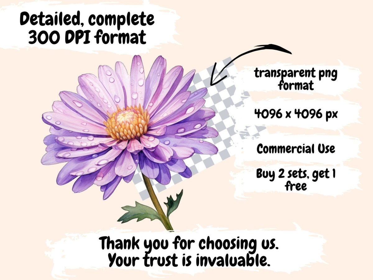 Aster Flowers Watercolor Clipart aster clipart - Wonders Artist