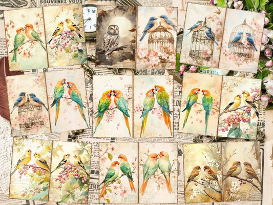Pagini de Jurnal Grace al Păsărilor (P6)
