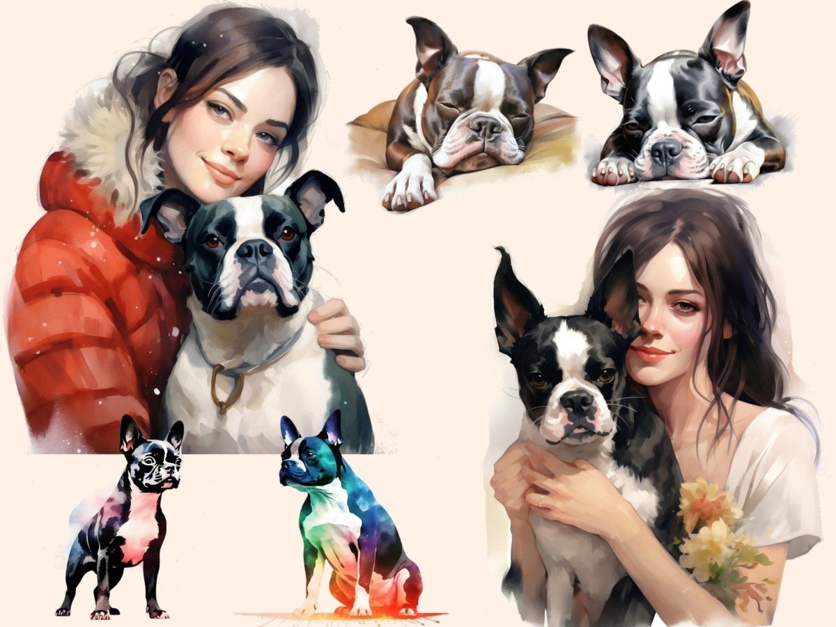 Boston Terriers Watercolor Clipart boston dog clipart - Wonders Artist