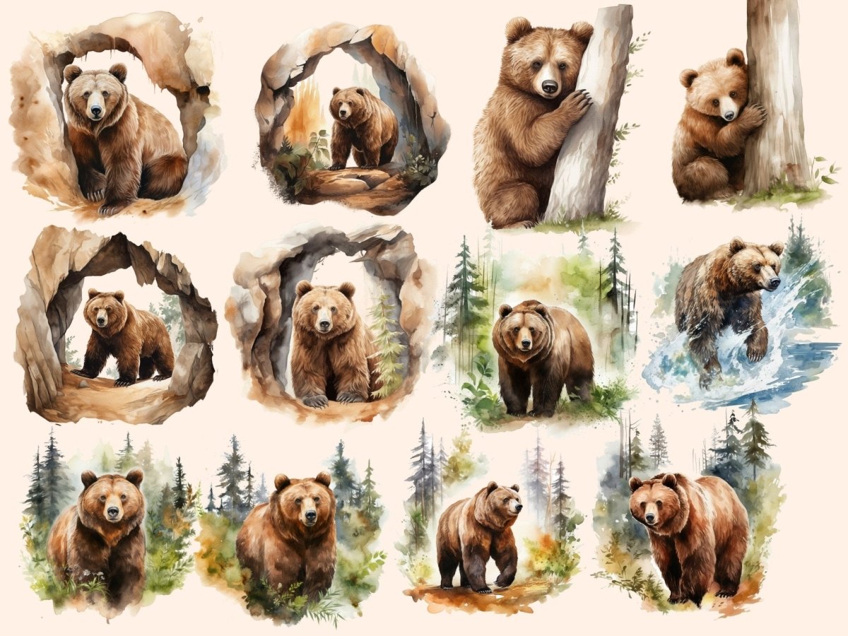 Brown Bears Watercolor Clipart baby bear clipart - Wonders Artist