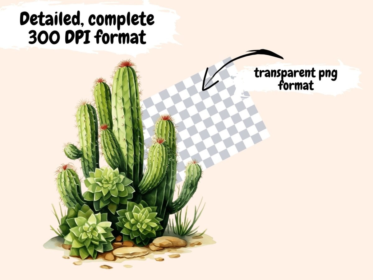 Cactus Watercolor Clipart cacti clipart - Wonders Artist