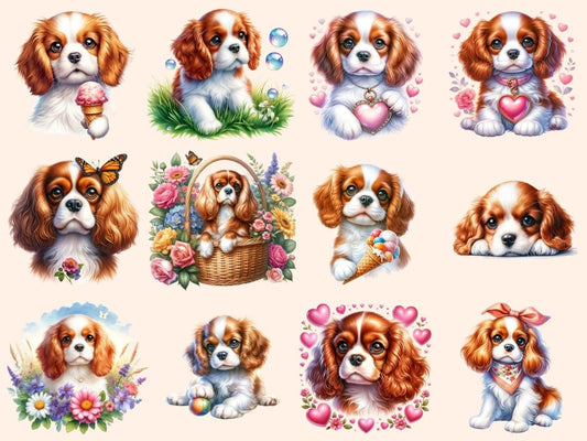 Clipart di Cavalier King Charles Spaniel