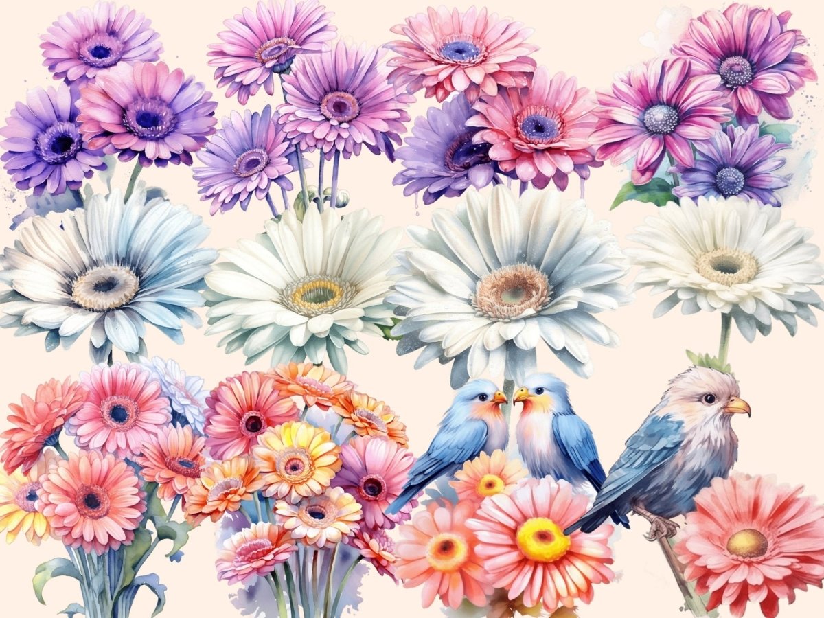 Gerberas Watercolor Clipart floral clipart - Wonders Artist