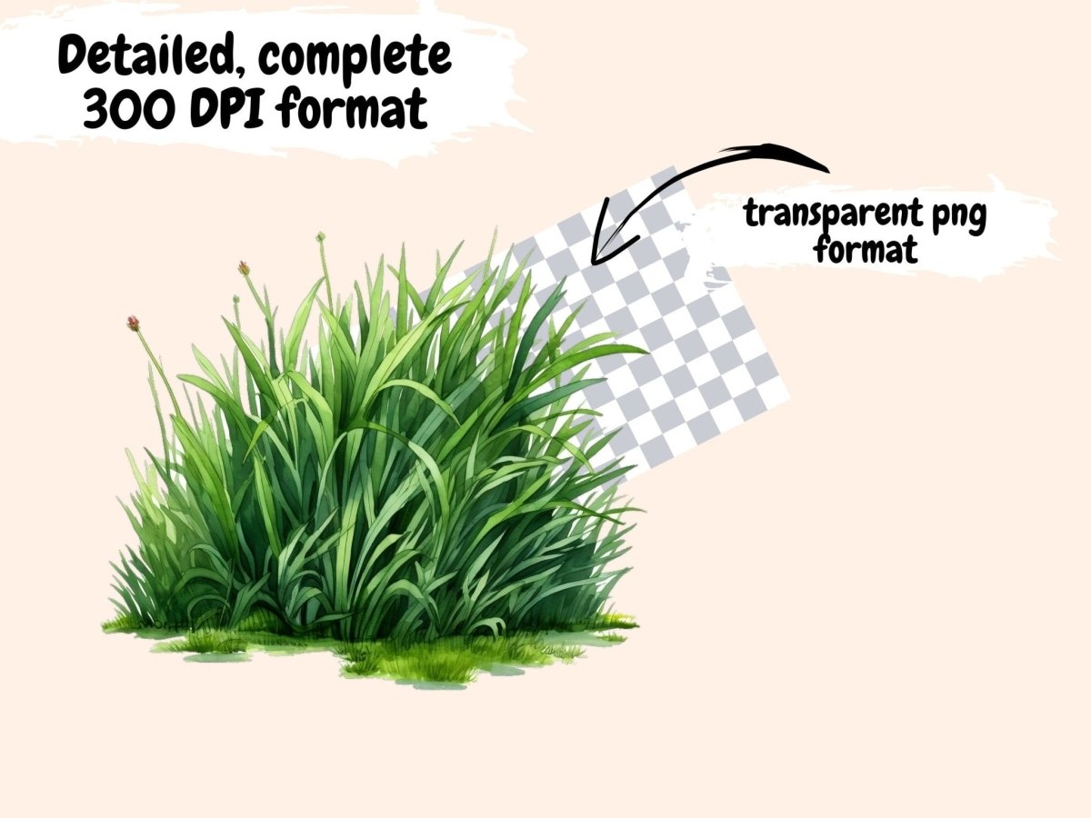 Grass Watercolor Clipart floral clipart - Wonders Artist