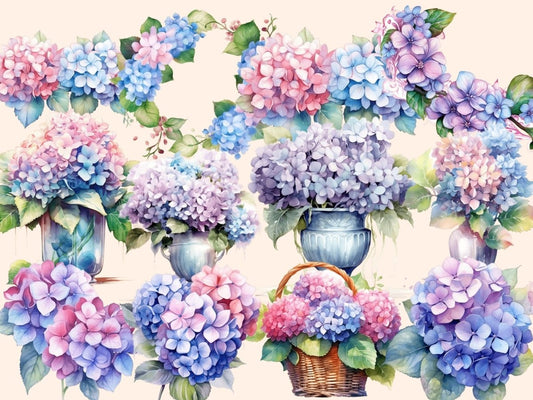 绣球花水彩剪贴画