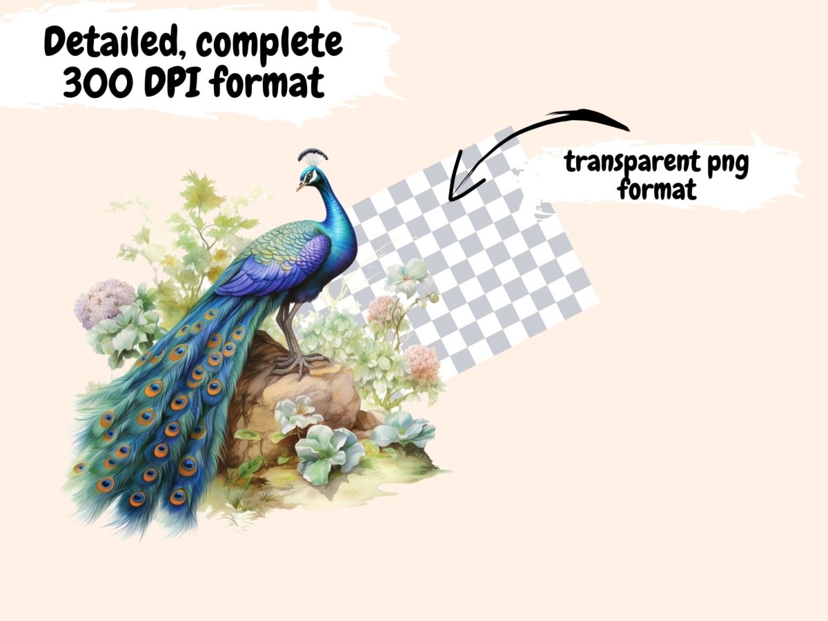 Peacocks Watercolor Clipart aquarelle clipart - Wonders Artist