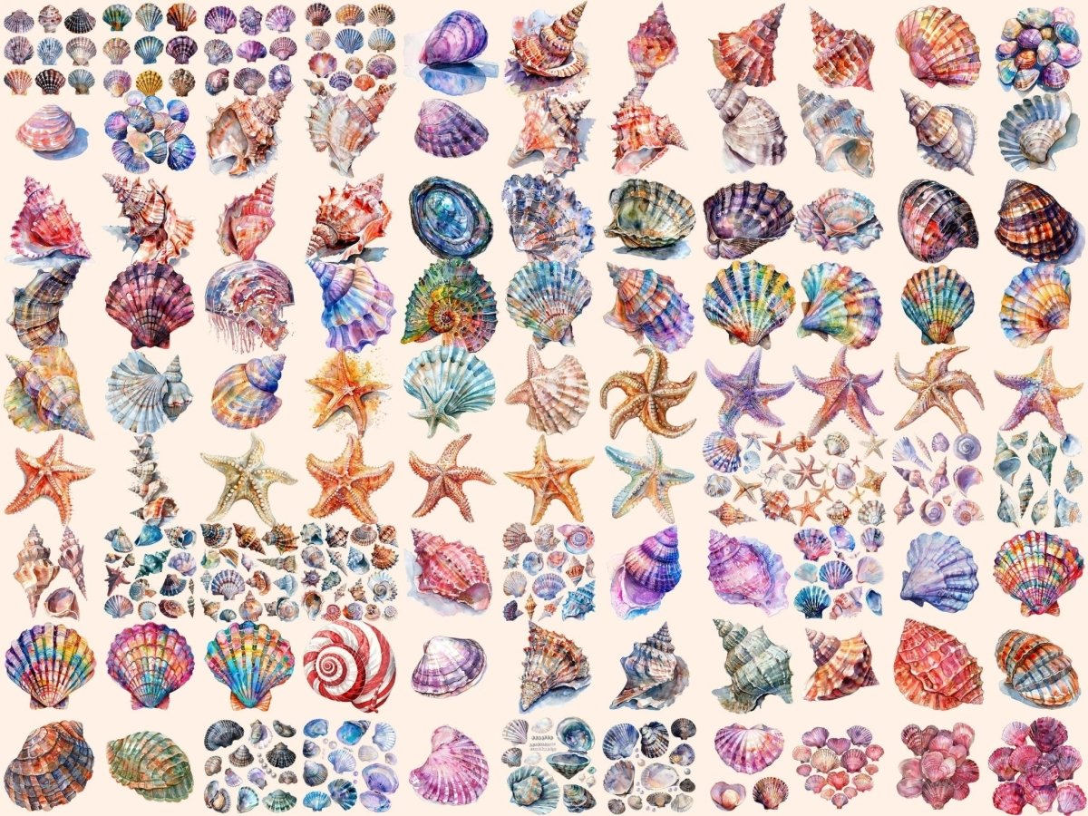 Seashells Watercolor Clipart beach clipart - Wonders Artist