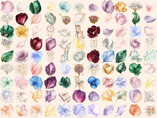 Clipart di Acquerello con Petali Morbidi