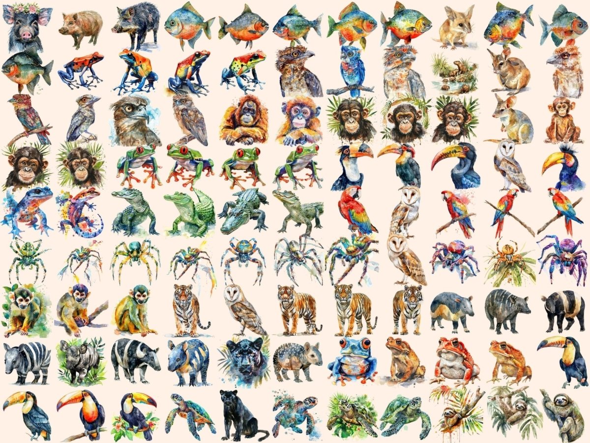 Tropical Animals Watercolor Clipart animals clipart - Wonders Artist