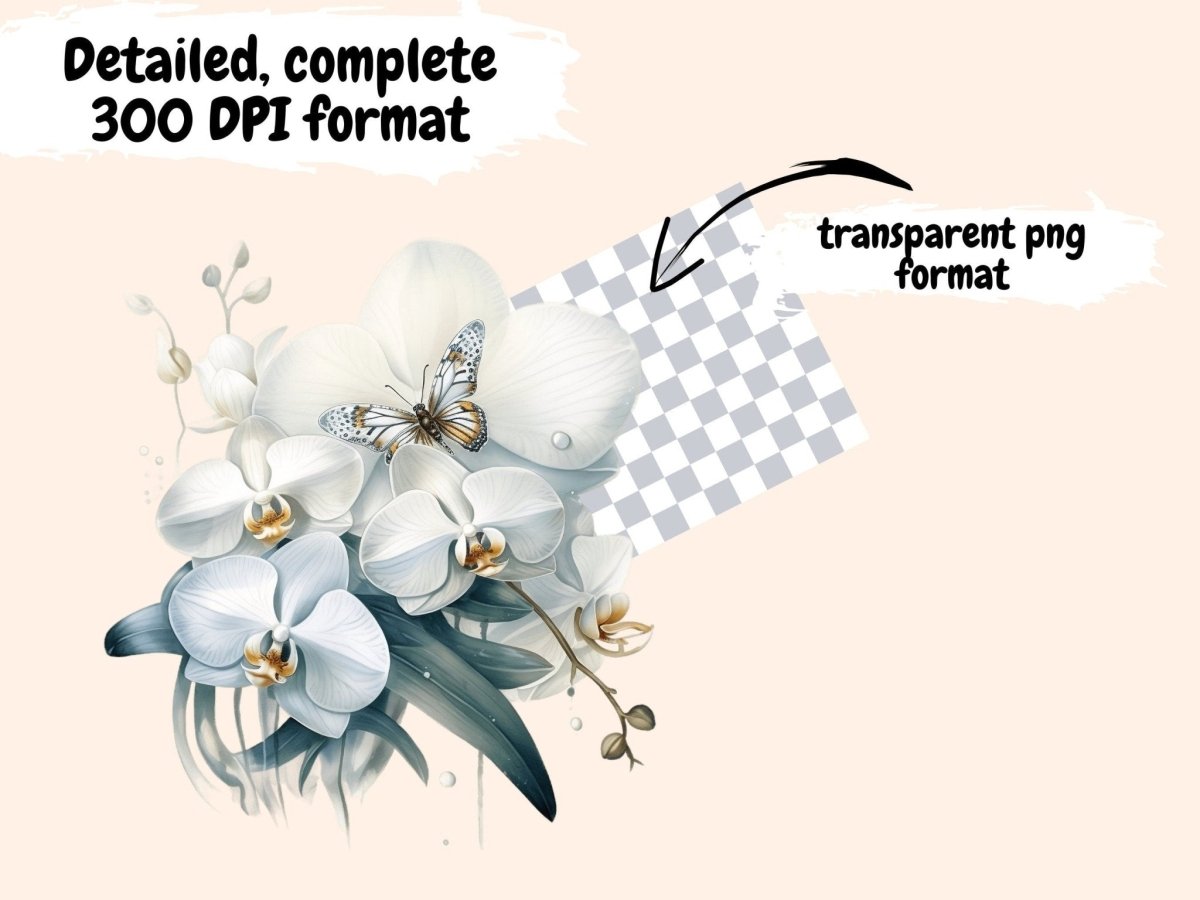 White Orchids Watercolor Clipart floral png - Wonders Artist