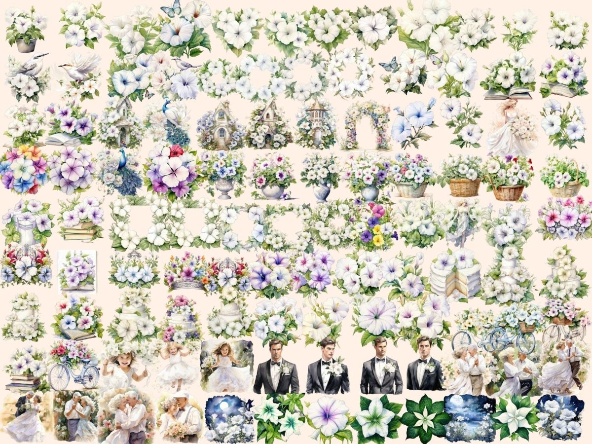 White Petunias Watercolor Clipart petunia clipart - Wonders Artist