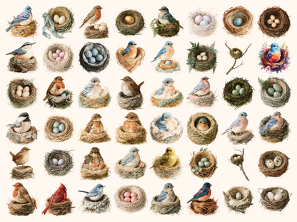 Bird Nests Watercolor Clipart