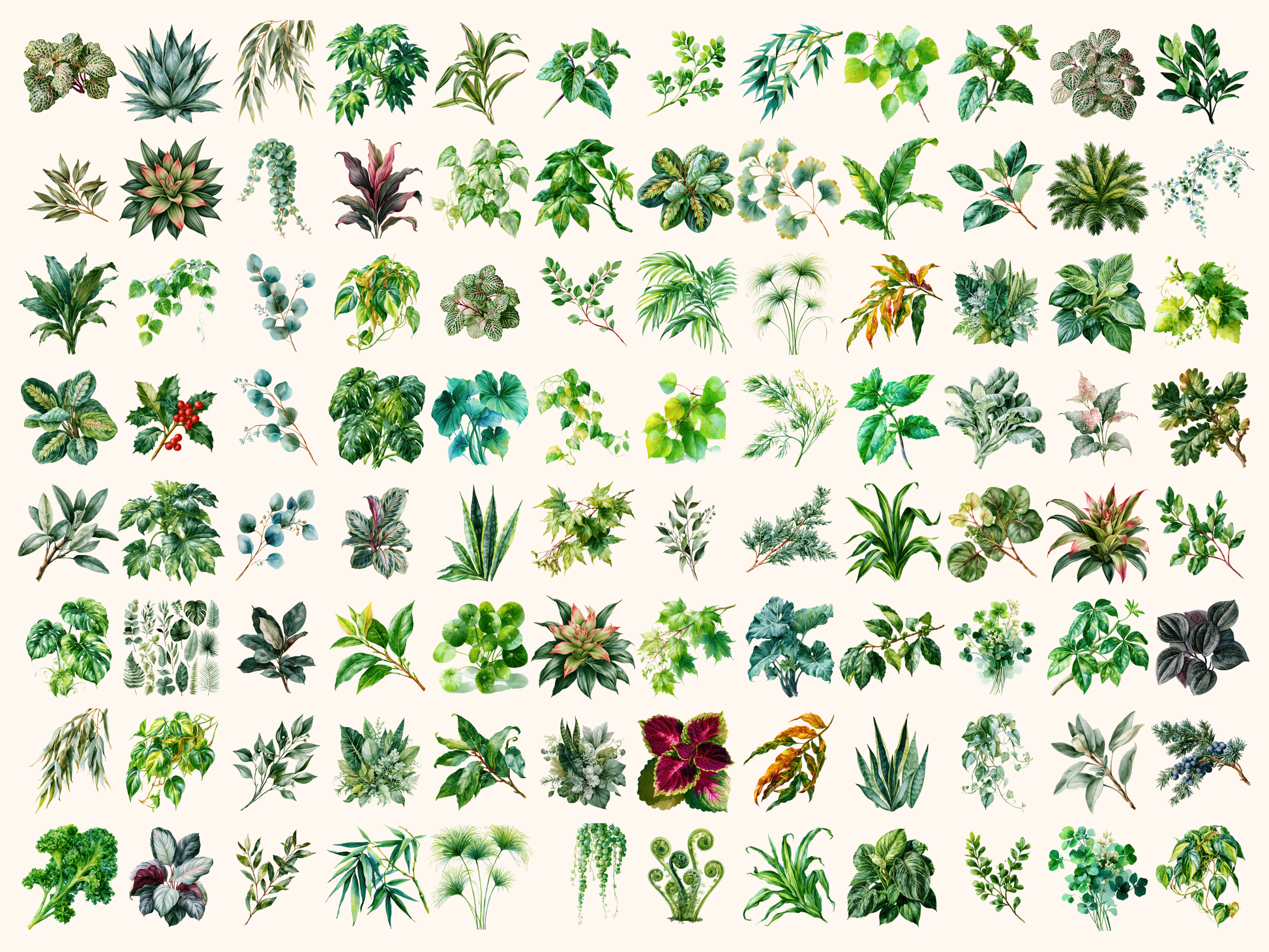 Foliage Watercolor Clipart