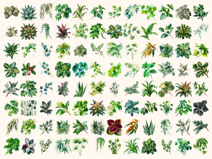Foliage Watercolor Clipart