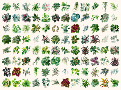 Foliage Watercolor Clipart