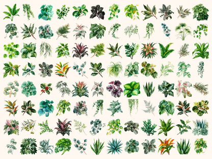Foliage Watercolor Clipart