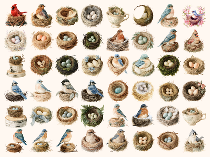 Bird Nests Watercolor Clipart