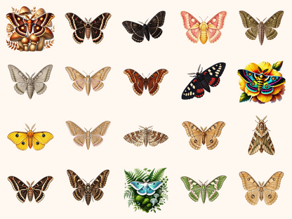 Moths Clipart