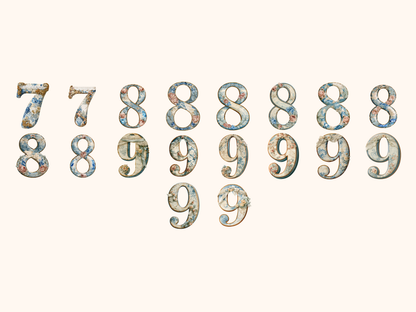 Vintage French Alphabet & Numbers
