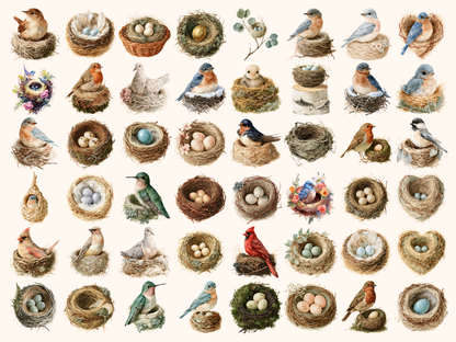 Bird Nests Watercolor Clipart