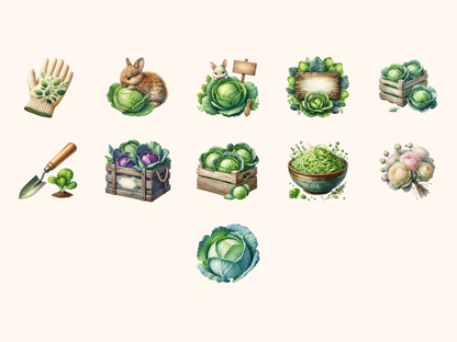 Cabbage Garden Clipart