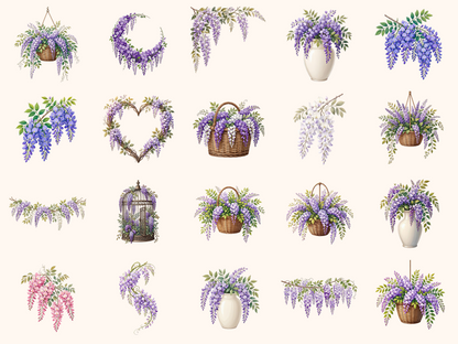 Wisteria Flowers Clipart