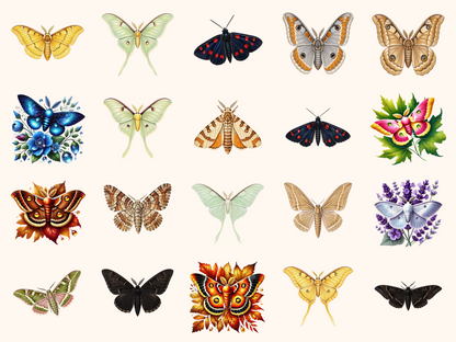 Moths Clipart