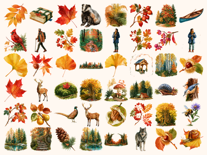 Autumn Forests Watercolor Clipart