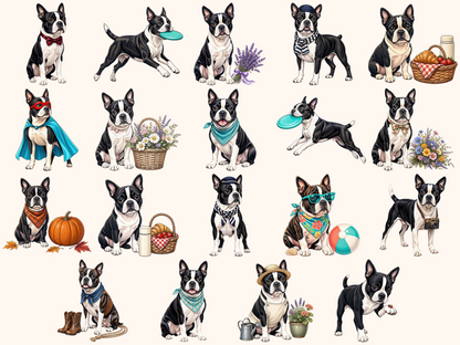 Boston Terriers Clipart