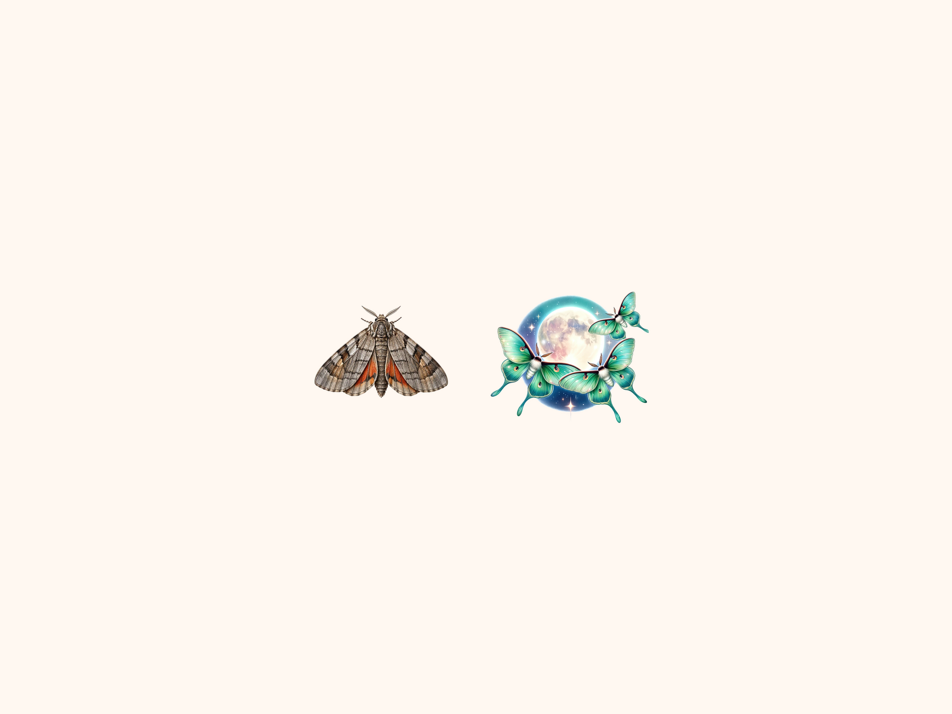 Moths Clipart
