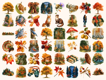 Autumn Forests Watercolor Clipart