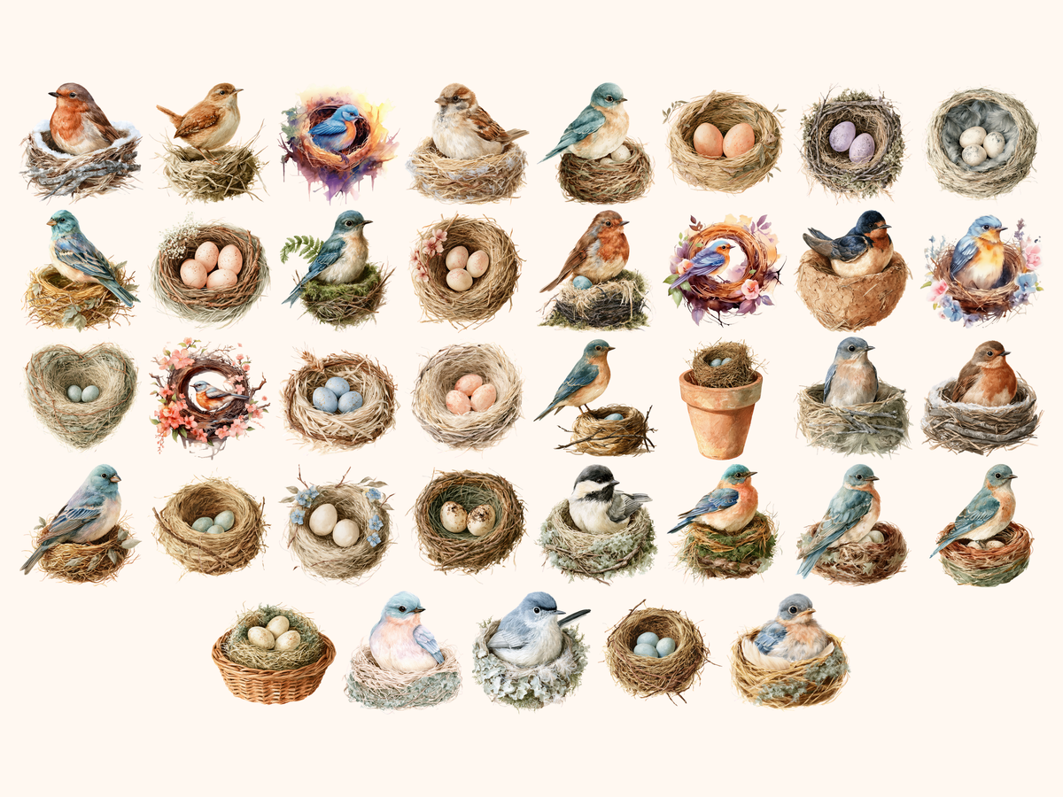 Bird Nests Watercolor Clipart