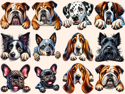 Glurende Honden Clipart