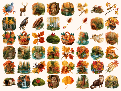 Autumn Forests Watercolor Clipart