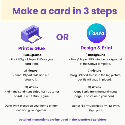 WondersBox January - Birthday Confetti Studio