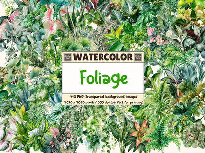 Foliage Watercolor Clipart
