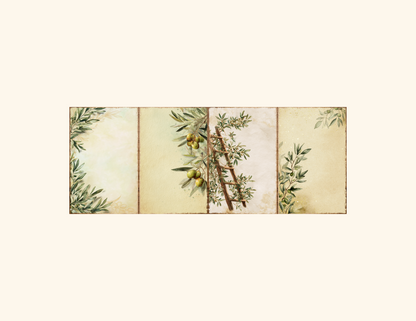 Olive Grove Journal Pages