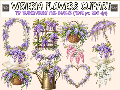 Wisteria Flowers Clipart