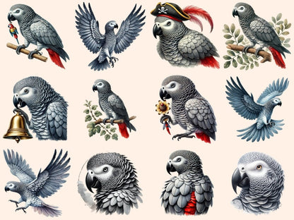 African Grey Parrots Clipart african gray parrots - Wonders Artist