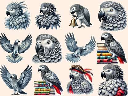 African Grey Parrots Clipart african gray parrots - Wonders Artist