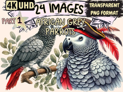 African Grey Parrots Clipart african gray parrots - Wonders Artist
