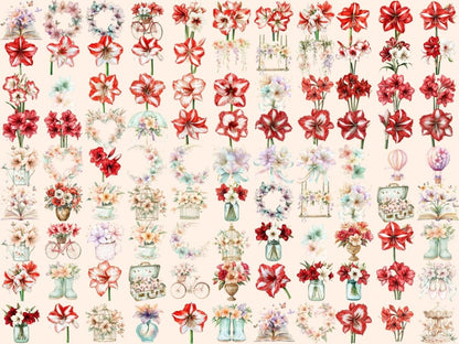 Amaryllis Watercolor Clipart - Wonders Artist