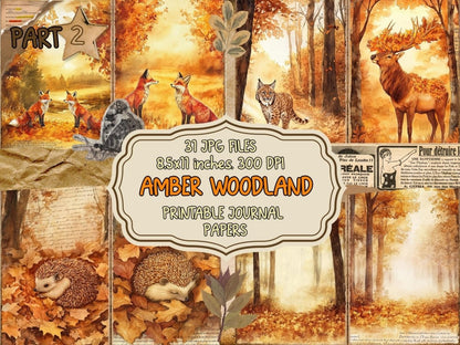 Amber Woodland Journal Pages (P2) Amber Ephemera - Wonders Artist