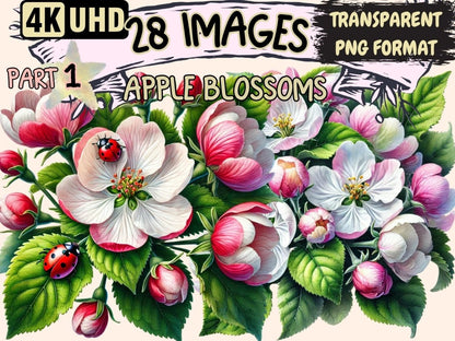 Apple Blossoms Clipart apple blossoms - Wonders Artist