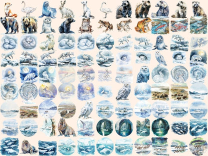 Arctic Animals Watercolor Clipart arctic animals png - Wonders Artist