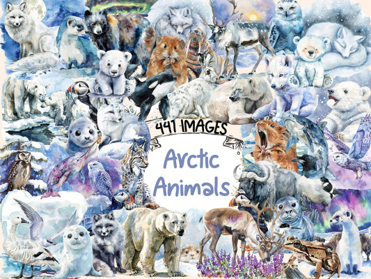 Arctic Animals Watercolor Clipart - High - Quality Instant Digital Download for Creative Projects