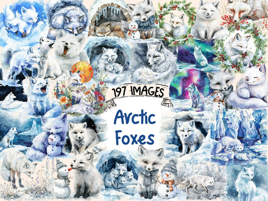 Arctic Foxes Watercolor Clipart - High - Quality Instant Digital Download for Creative Projects