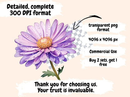 Aster Flowers Watercolor Clipart aster clipart - Wonders Artist