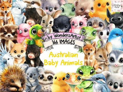 Australian Baby Animals Watercolor Clipart Animal Graphics PNG - Wonders Artist